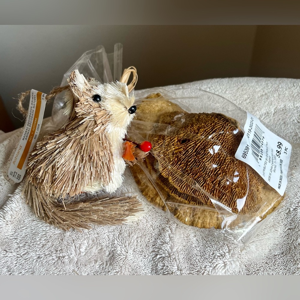 Home decor (NWT) animal & mushroom dried